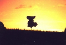 ballonvaart Brugge